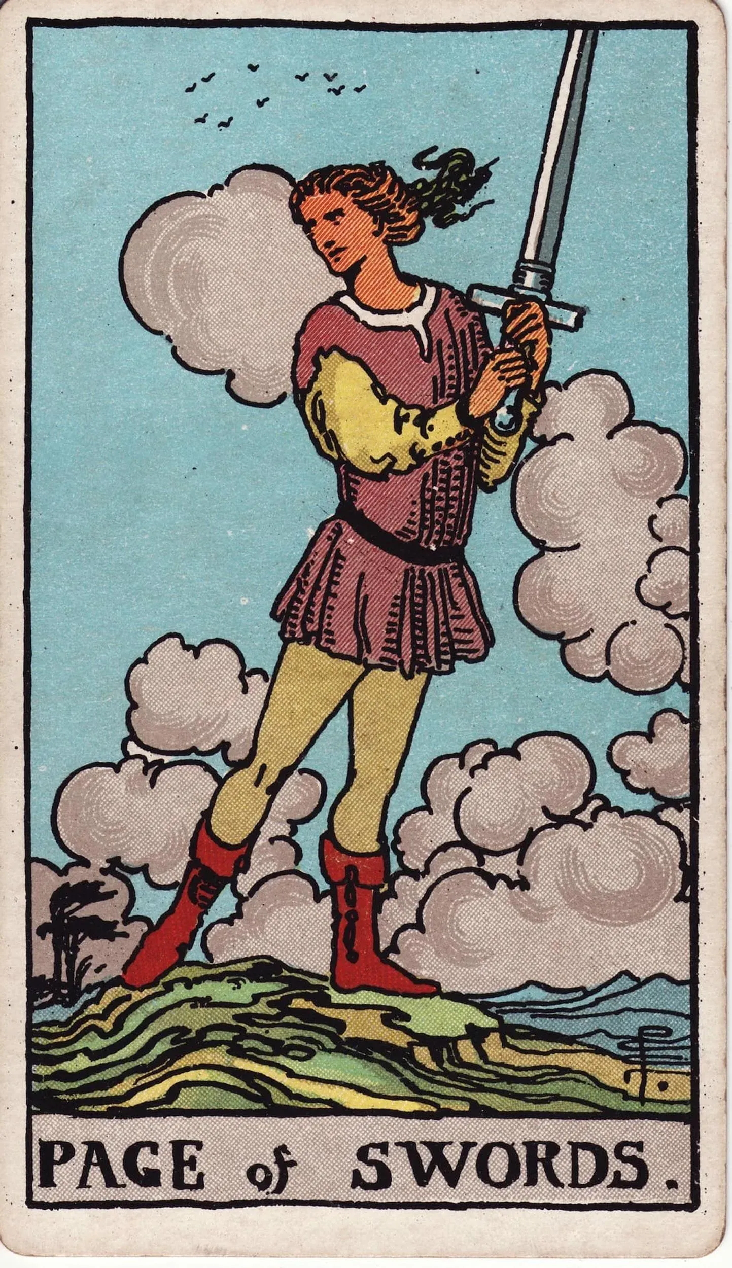 The Page of Swords tarot card