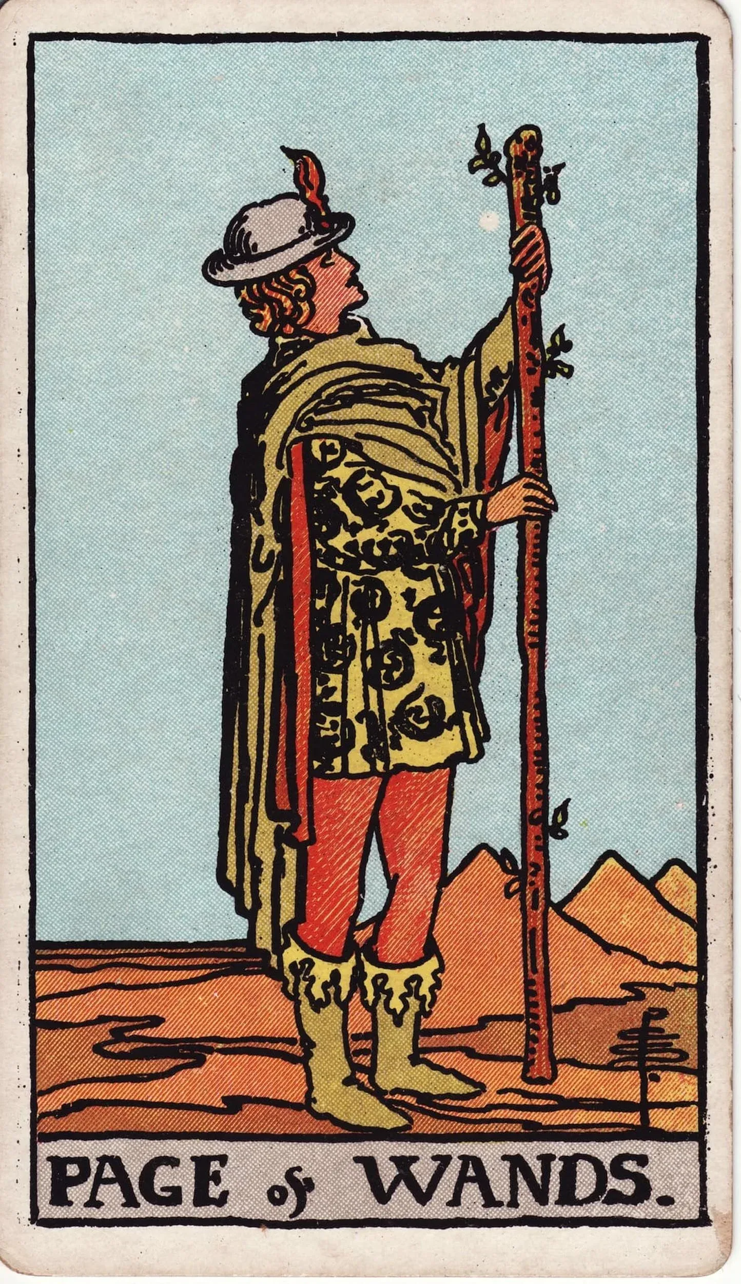 The Page of Wands tarot card